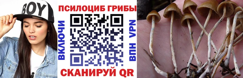 blacksprut маркетплейс  Суоярви  Псилоцибиновые грибы MAGIC MUSHROOMS  как найти закладки 